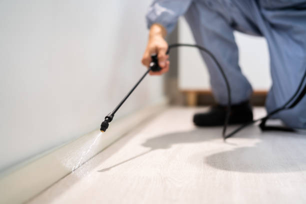 Licensed Fumigation Services service in Unadilla, GA - Nex Pest Control